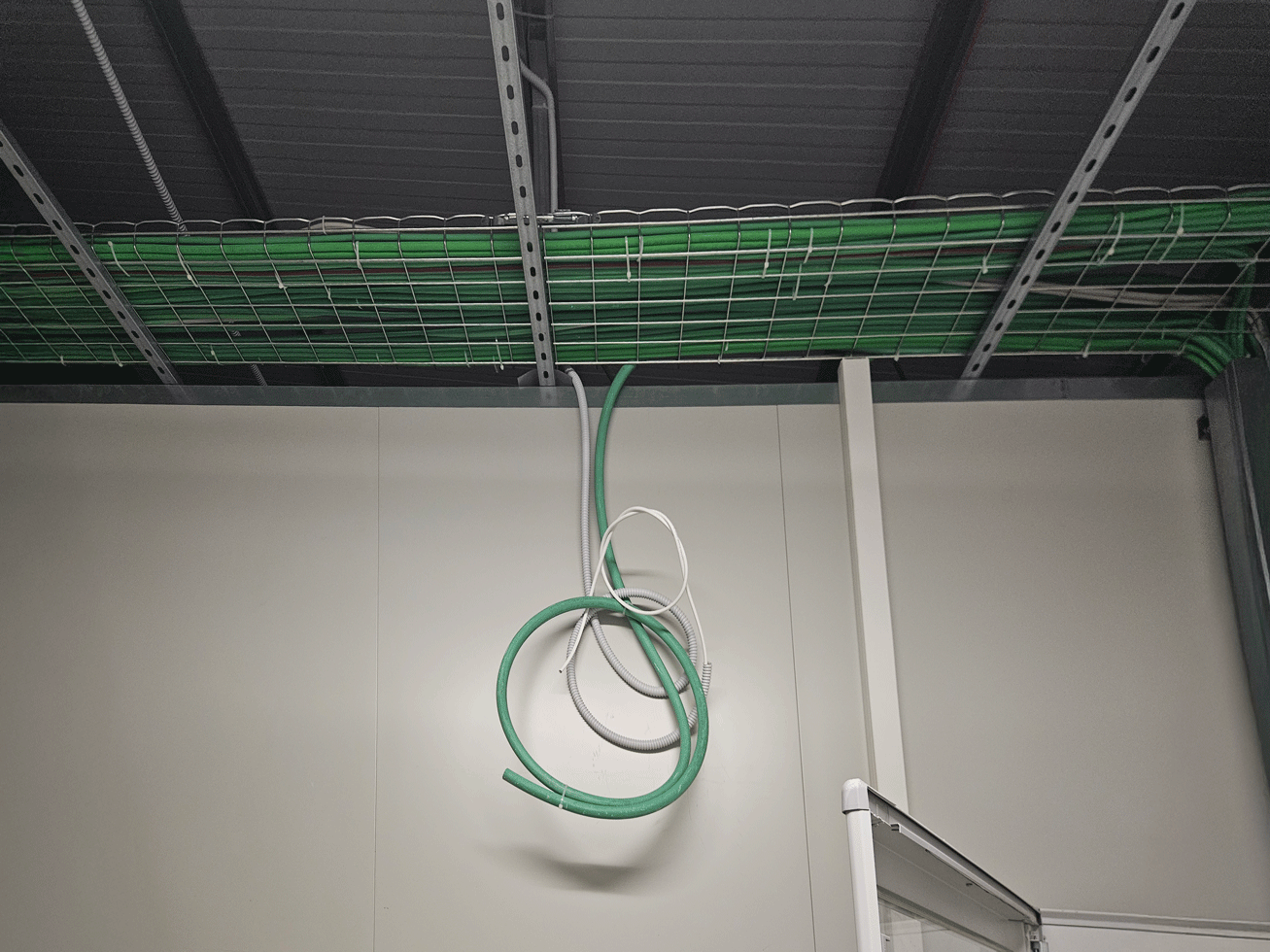Cablaggio strutturato con guaine verdi e grigie su passerella metallica a soffitto.