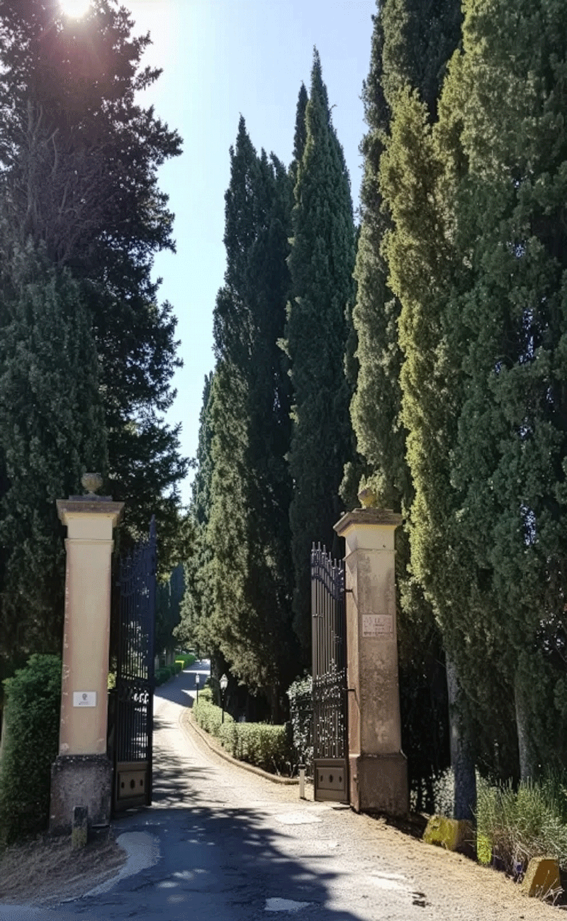 Cancello in ferro battuto all'ingresso dell'agriturismo tra alti cipressi.