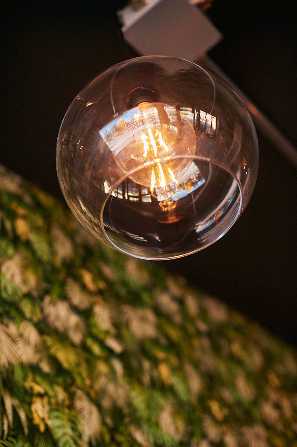Close-up di una lampada a bulbo vintage con filamento a vista e sfondo decorativo botanico.