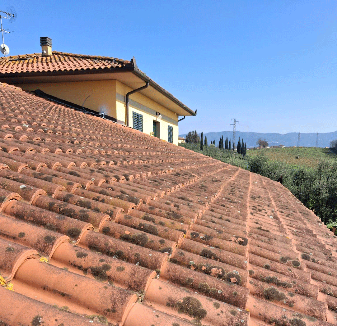 Copertura in tegole del fabbricato dell'Azienda Agricola Podere il Pino destinata all'impianto fotovoltaico.